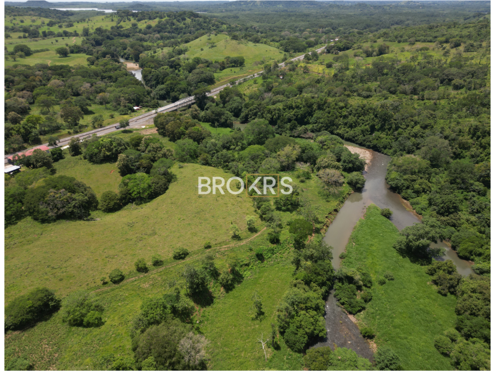 Finca en Venta - Tolé, Chiriquí - 5
