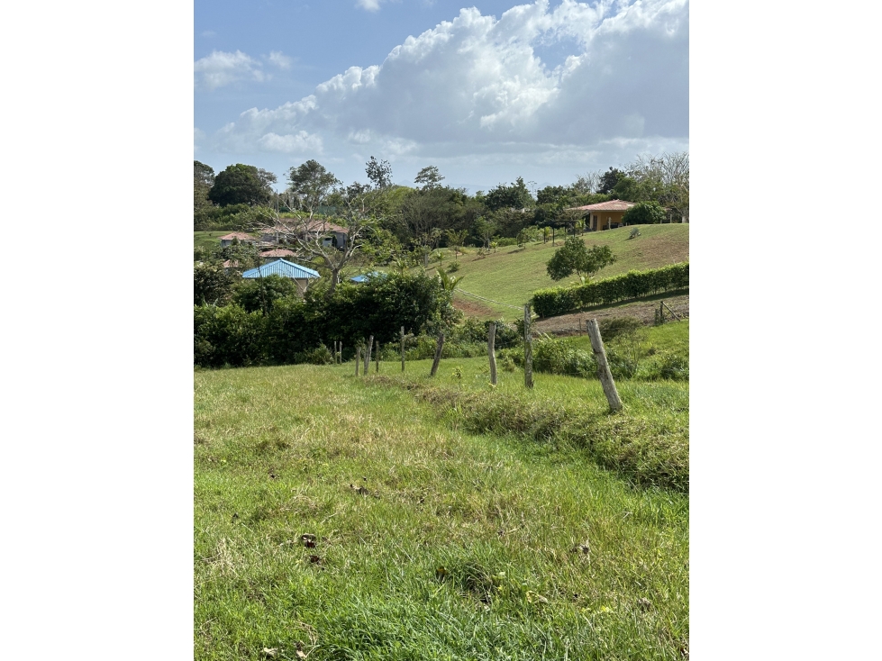 Lote en venta - Hacienda Santa Domenica, La Chorrera, 6,592 m² — foto 4