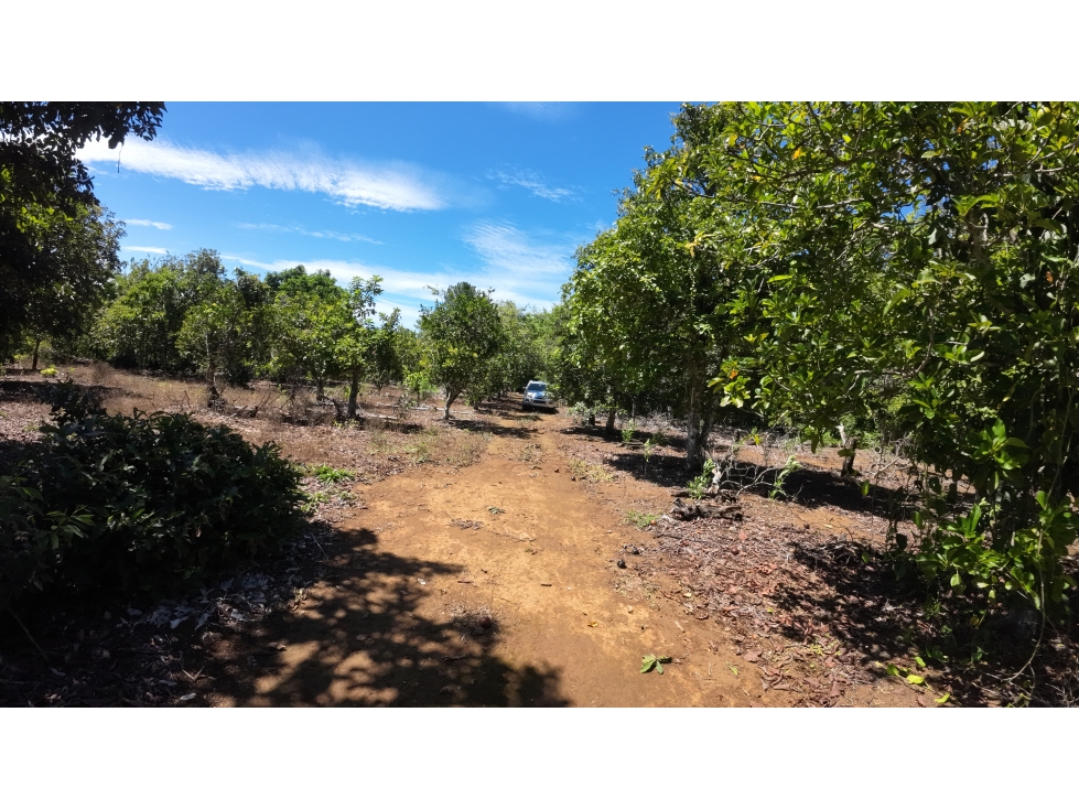 FINCA POTRERILLOS - 6