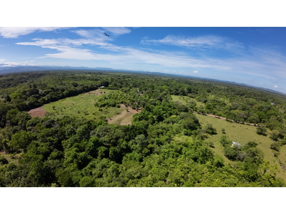 FINCA 22 HECTAREAS - 6