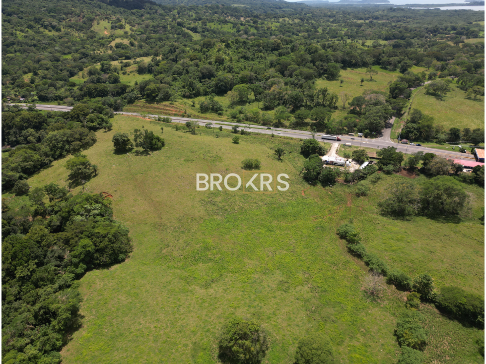 Finca en Venta - Tolé, Chiriquí - 6