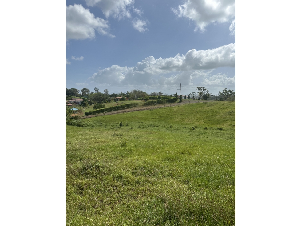 Lote en venta - Hacienda Santa Domenica, La Chorrera, 7,250 m² — foto 5