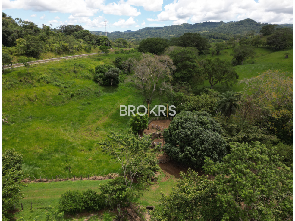 Finca en Venta - Tolé, Chiriquí - 4