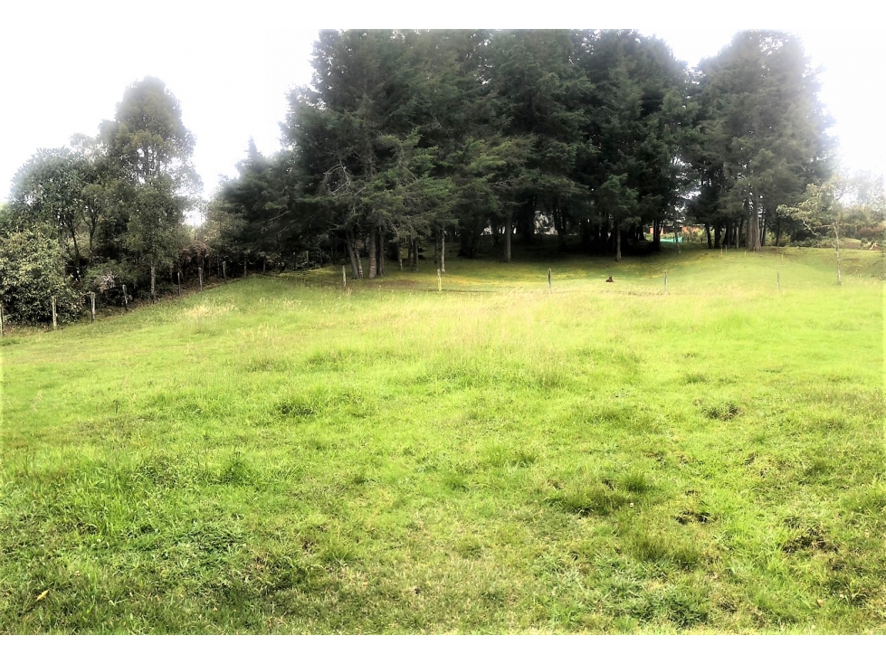 LINDO LOTE EN LA MEJOR VEREDA DE SANTA ELENA — foto 5