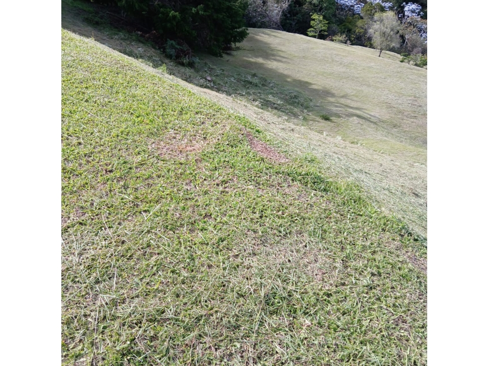 lote en parcelacion en llanogrande — foto 3