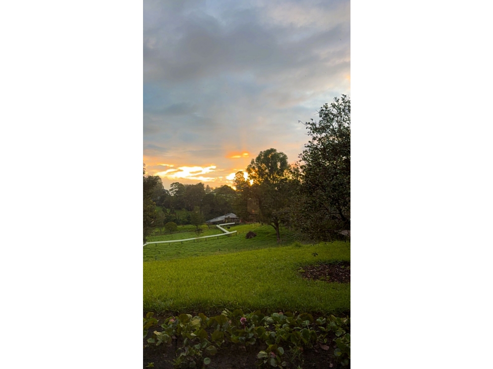 Finca en llanogrande ( Varahonda) — foto 3
