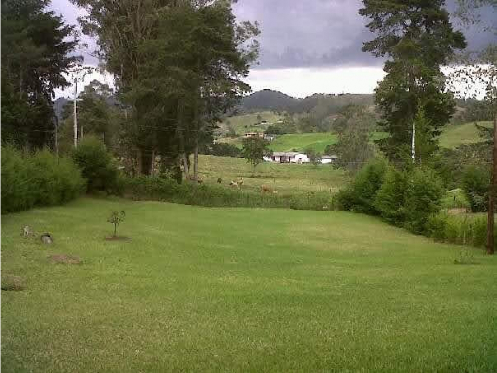 finca