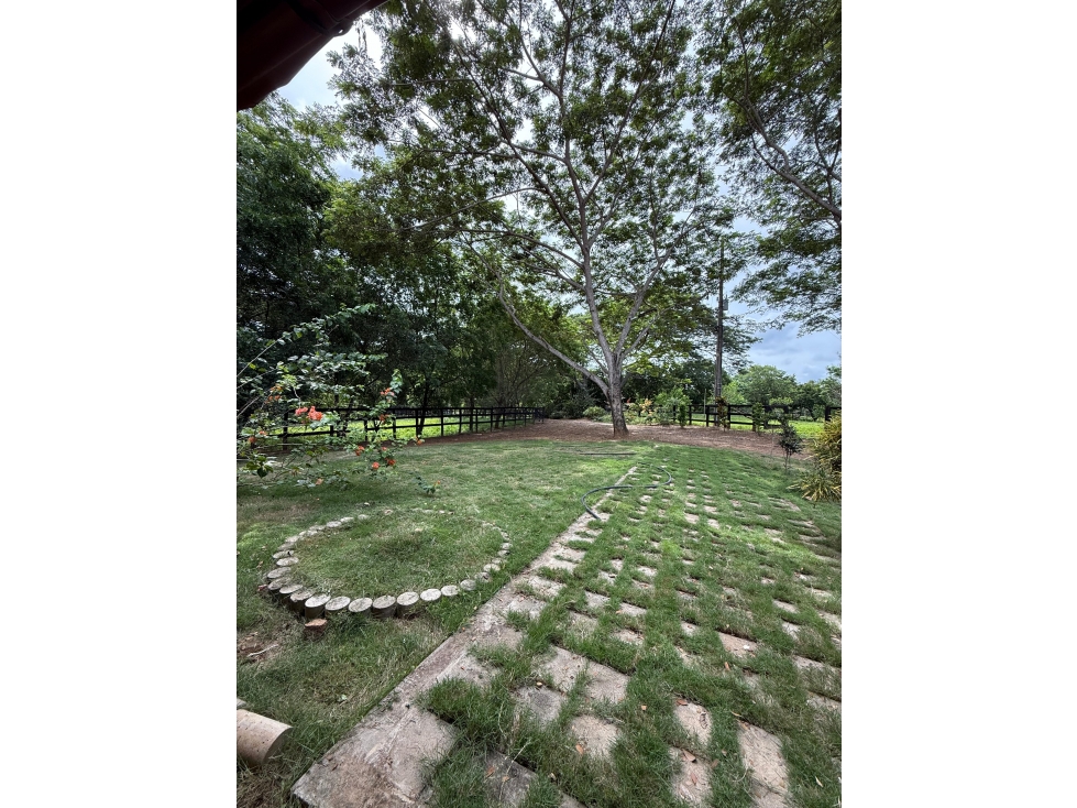 FINCA AGRICOLA MONTERIA CORDOBA - A SOLO 20 MINUTOS DE LA CIUDAD — foto 2