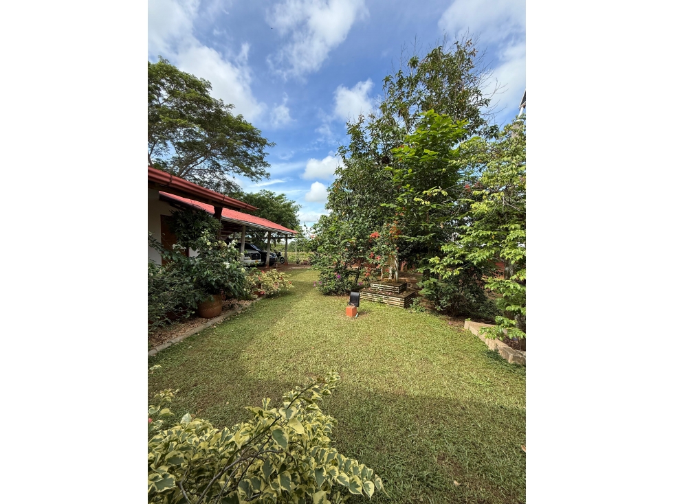 FINCA AGRICOLA MONTERIA CORDOBA - A SOLO 20 MINUTOS DE LA CIUDAD — foto 6