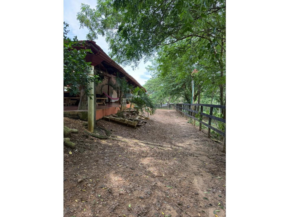 FINCA AGRICOLA MONTERIA CORDOBA - A SOLO 20 MINUTOS DE LA CIUDAD — foto 4
