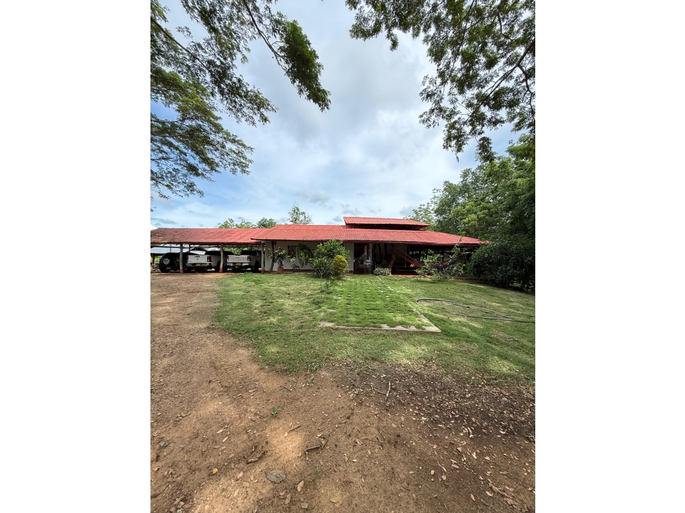 FINCA AGRICOLA MONTERIA CORDOBA - A SOLO 20 MINUTOS DE LA CIUDAD — foto 3