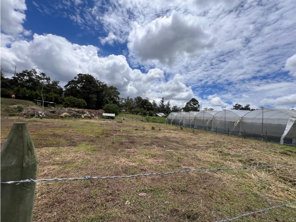 hermoso lote en venta - el tablazo - frente a la via — foto 2