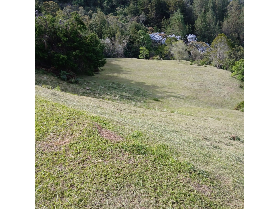 lote en parcelacion en llanogrande — foto 5