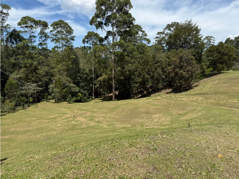 LOTE EN LLANOGRANDE EN COLINAS DE PAIMADO — foto 3