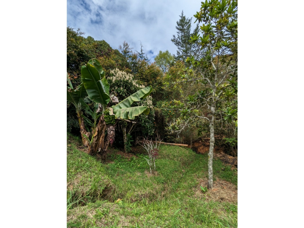 lote en senderos de quirama en el Carmen de Viboral — foto 5