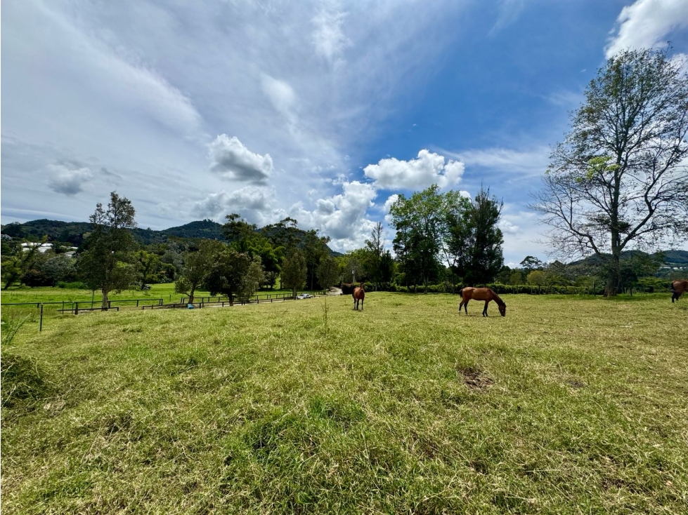 HERMOSO LOTE EN UNIDAD CERRADA EN CABECERAS, RIONEGRO — foto 5