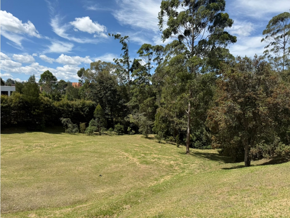 LOTE EN LLANOGRANDE EN COLINAS DE PAIMADO — foto 4