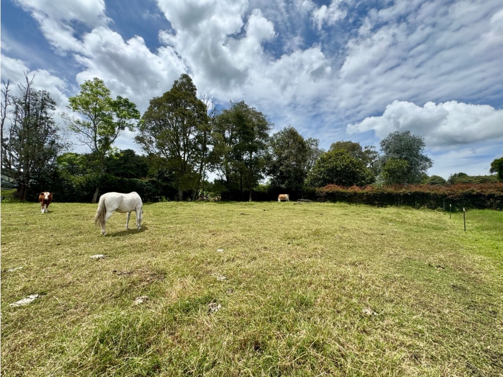 HERMOSO LOTE EN UNIDAD CERRADA EN CABECERAS, RIONEGRO — foto 6