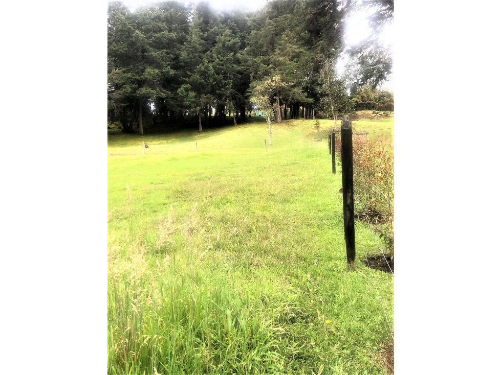 LINDO LOTE EN LA MEJOR VEREDA DE SANTA ELENA — foto 4