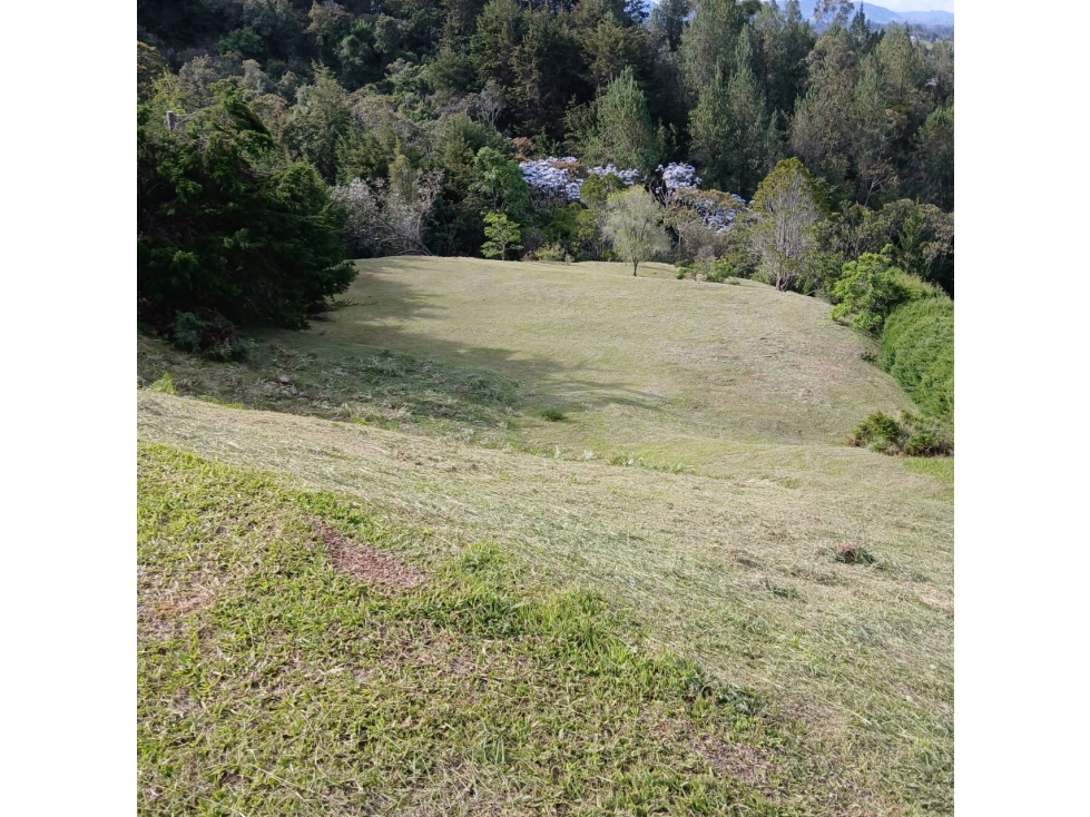 lote en parcelacion en llanogrande — foto 2