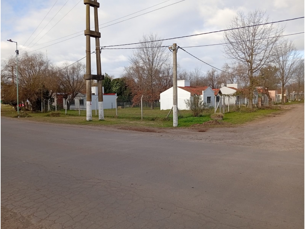 LOTE CARLOS KEEN - 3