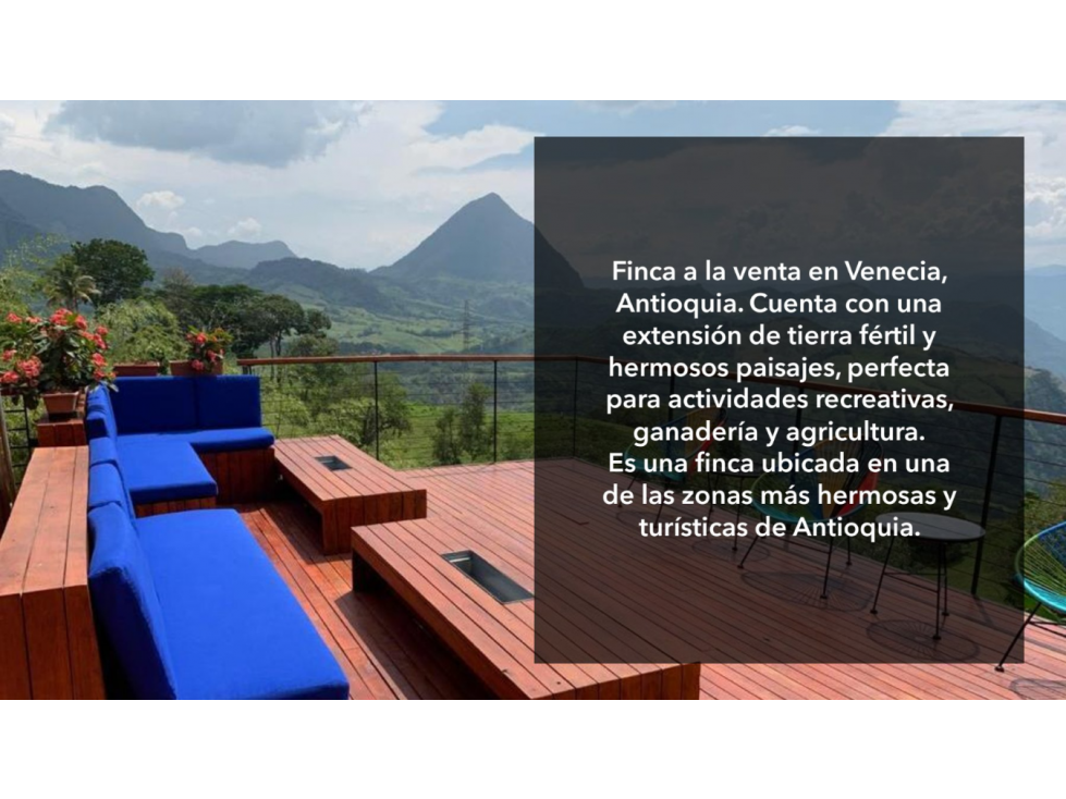 VENTA FINCA DE RECREO Y PRODUCTIVA EN VENECIA 243 CUADRAS — foto 2