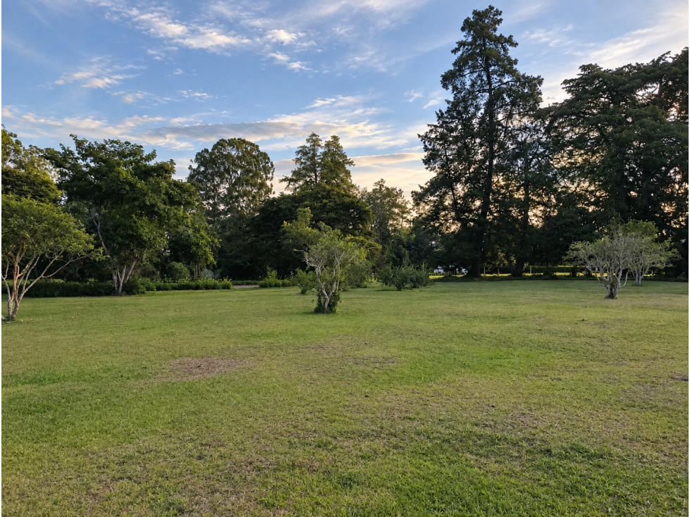 VENDEMOS LOTE PARA DESARROLLO INMOBILIARIO EN LLANOGRANDE 3 MATRÍCULAS — foto 2