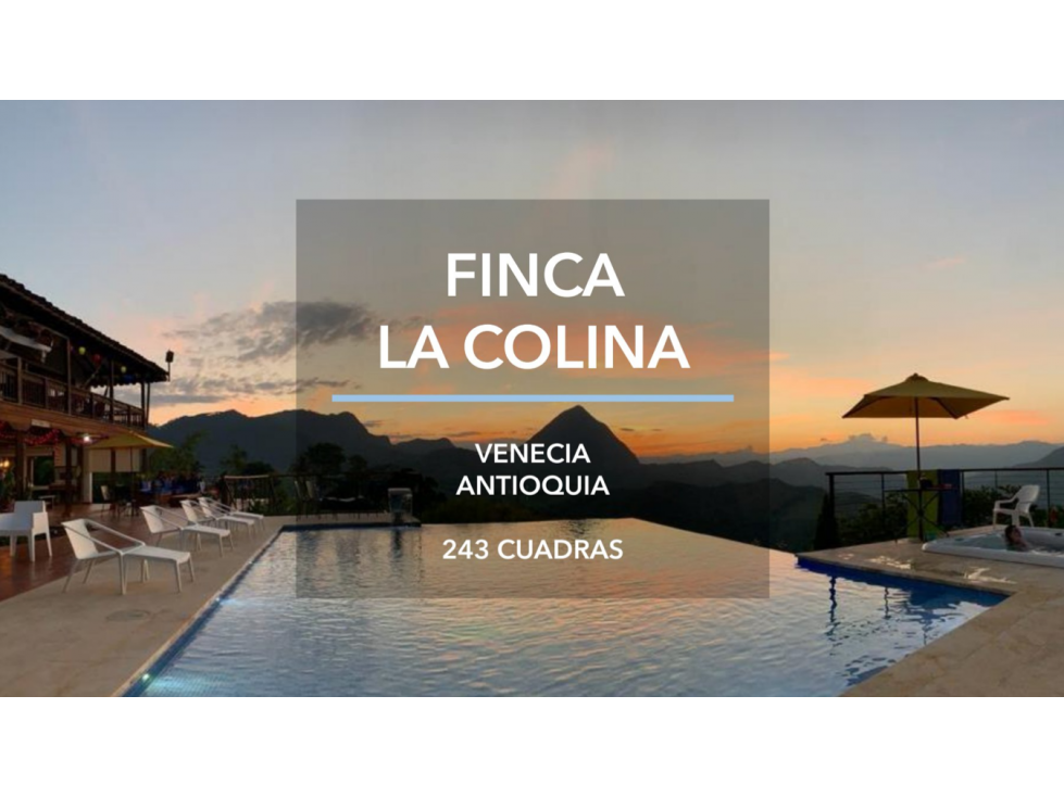VENTA FINCA DE RECREO Y PRODUCTIVA EN VENECIA 243 CUADRAS — foto 3