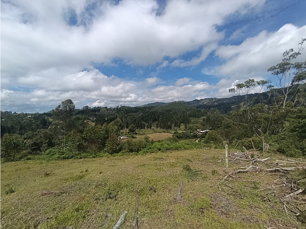 VENDEMOS HERMOSO LOTE DE 48.000 m² EN LA HONDITA GUARNE 2 MATRÍCULAS — foto 2