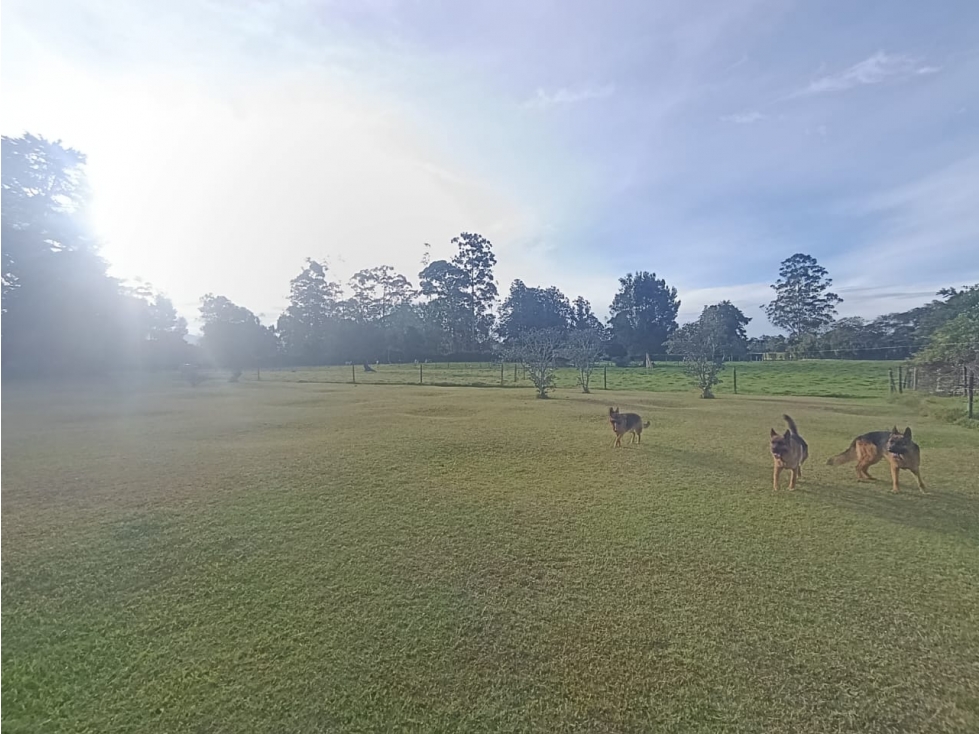 VENDEMOS LOTE PARA DESARROLLO INMOBILIARIO EN LLANOGRANDE 3 MATRÍCULAS — foto 4