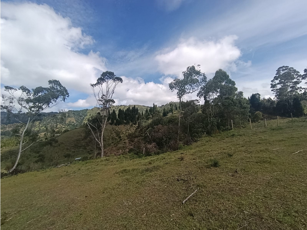 VENDEMOS HERMOSO LOTE DE 48.000 m² EN LA HONDITA GUARNE 2 MATRÍCULAS — foto 4