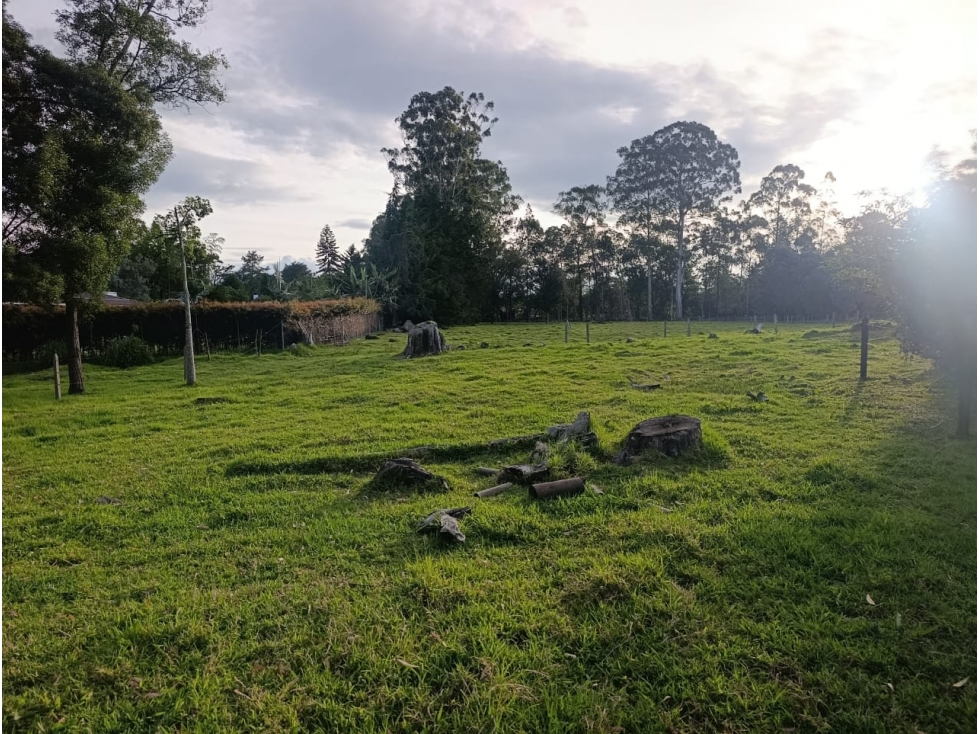 VENDEMOS LOTE PARA DESARROLLO INMOBILIARIO EN LLANOGRANDE 3 MATRÍCULAS — foto 5