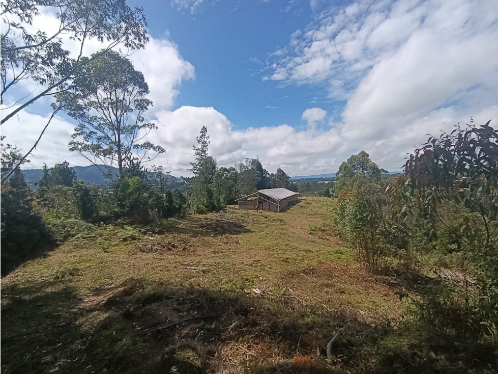 VENDEMOS HERMOSO LOTE DE 48.000 m² EN LA HONDITA GUARNE 2 MATRÍCULAS — foto 6