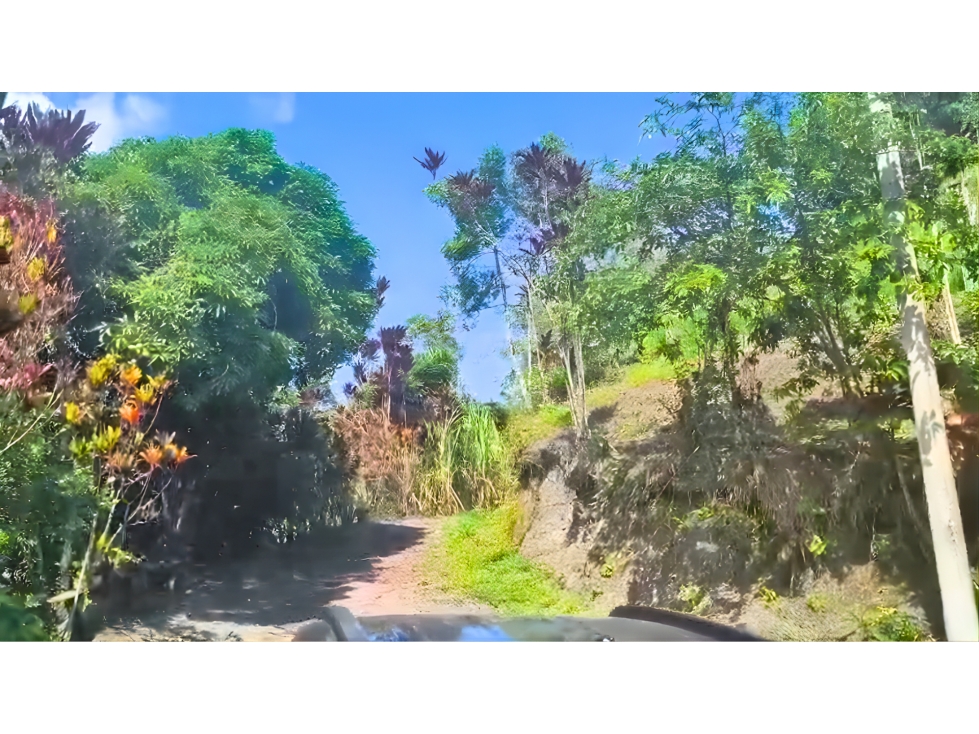Finca Productiva en Pacho en Venta $ 350 Millones - 1