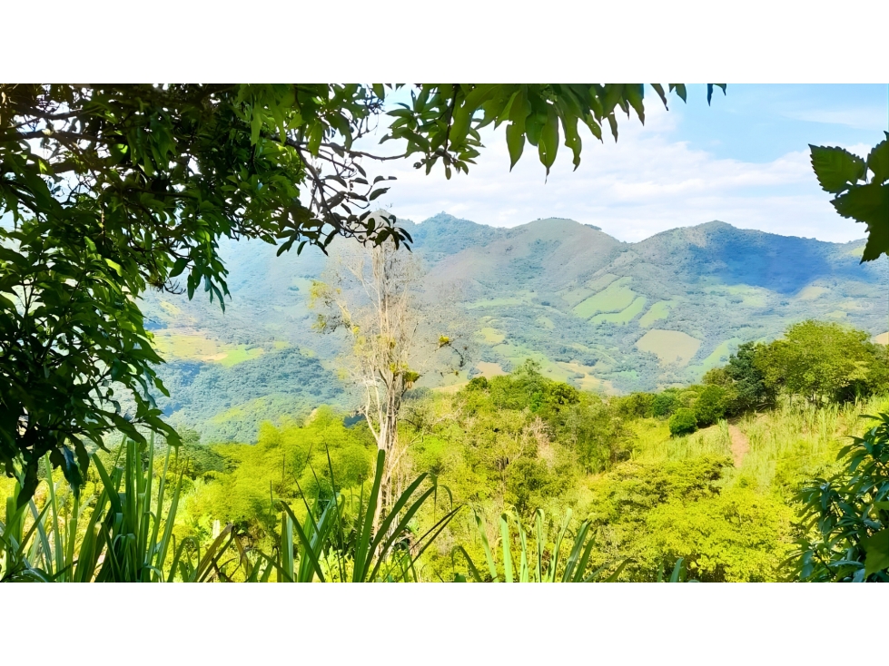 Finca Productiva en Pacho en Venta $ 350 Millones - 2