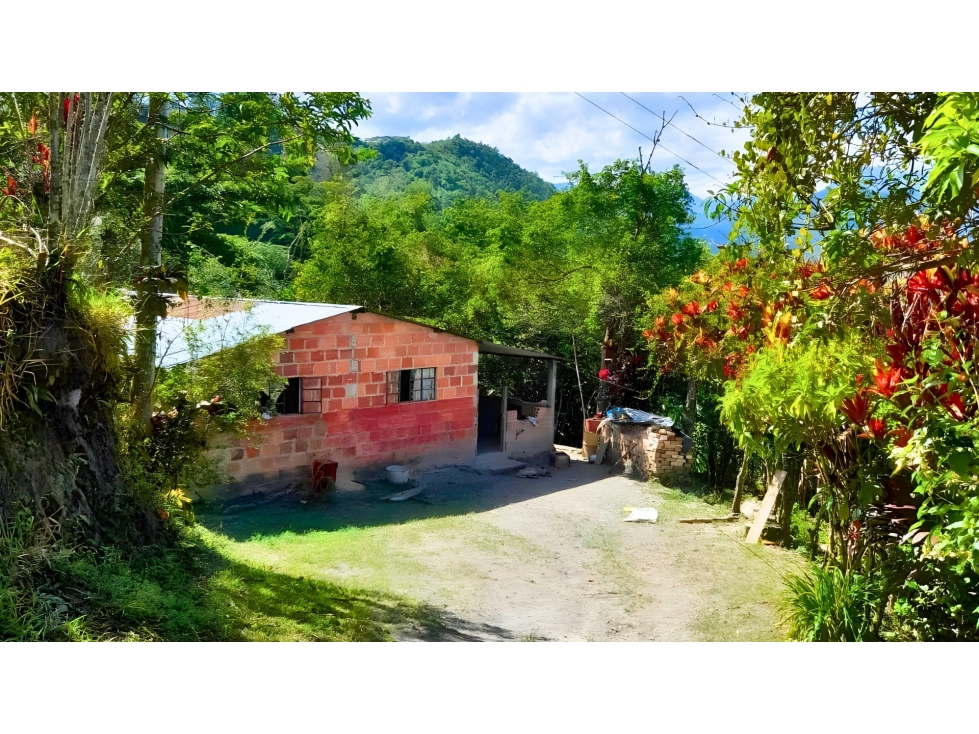 Finca Productiva en Pacho en Venta $ 350 Millones - 3