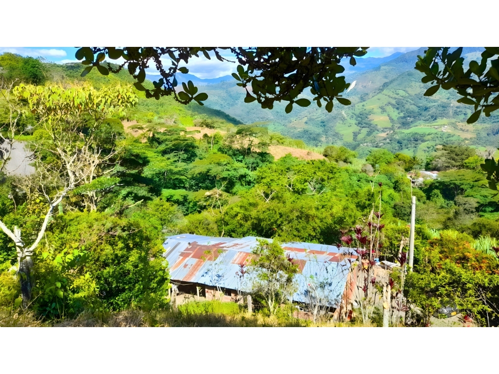 Finca Productiva en Pacho en Venta $ 350 Millones - 5