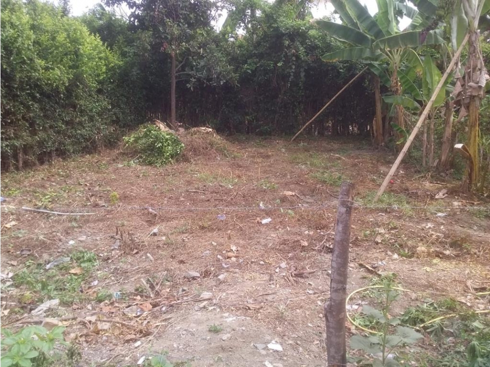 (MJ) LOTE EN VENTA EN ROZO, VALLE — foto 3