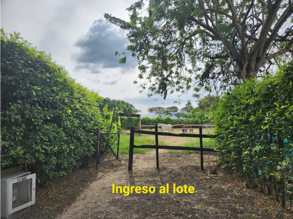 (MJ) LOTE EN CONDOMINIO EN ROZO, VALLE — foto 2
