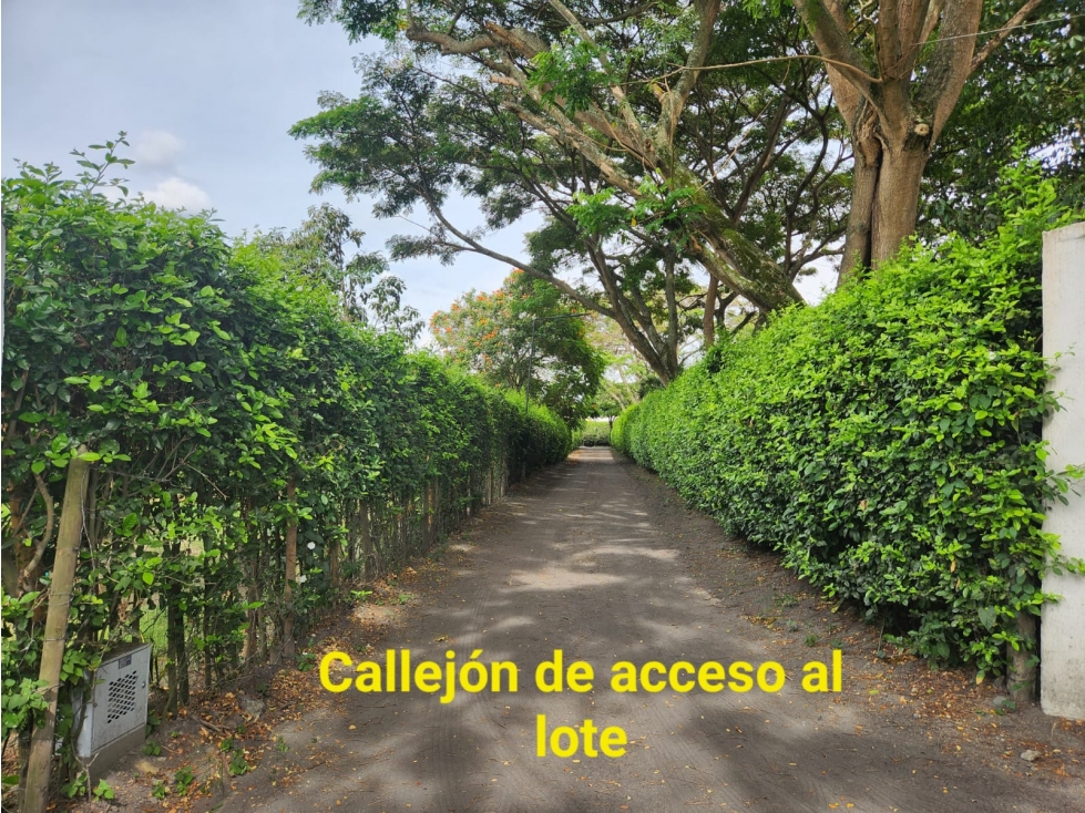 (MJ) LOTE EN CONDOMINIO EN ROZO, VALLE — foto 3