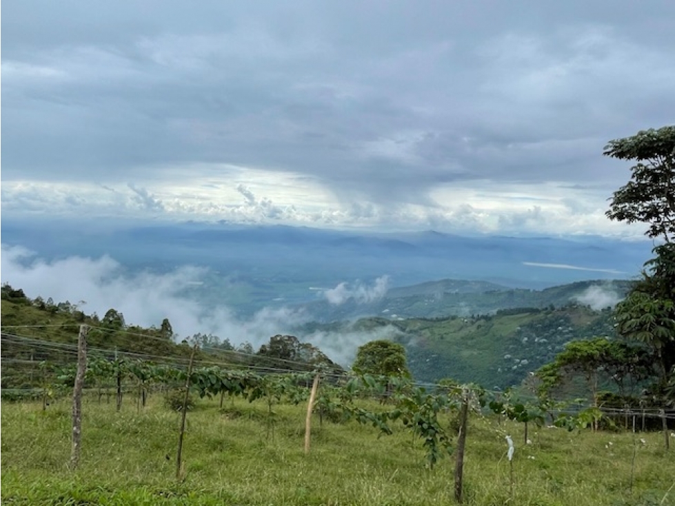 (MP) LOTE EN GINEBRA, VALLE - 3