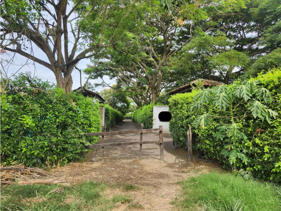 (MJ) LOTE EN CONDOMINIO EN ROZO, VALLE — foto 4