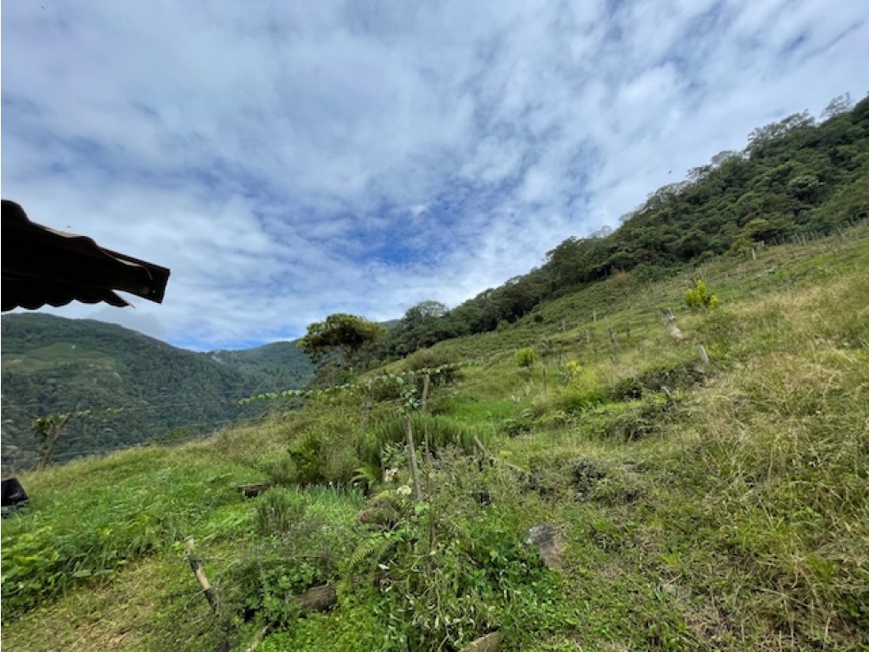 (MP) LOTE EN GINEBRA, VALLE - 4