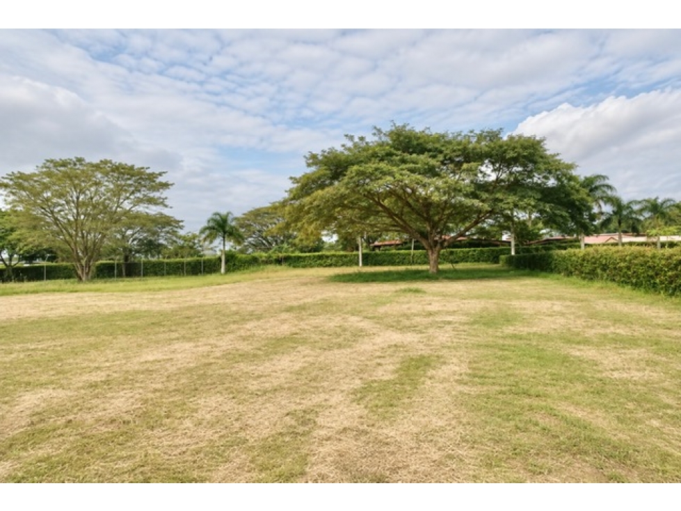 (WS) LOTE EN ROZO, PALMIRA, NORTE DE CALI — foto 4