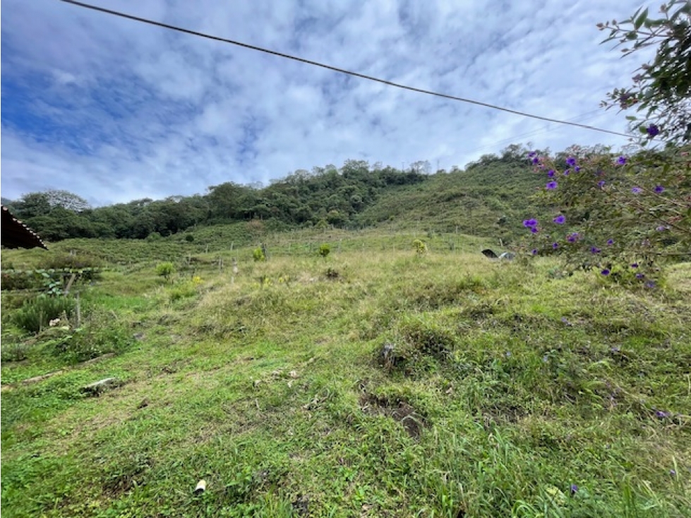 (MP) LOTE EN GINEBRA, VALLE - 5