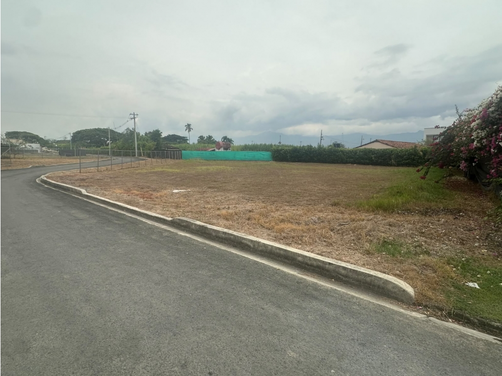 (JM) LOTE EN VENTA EN ROZO, PALMIRA, NORTE DE CALI — foto 5