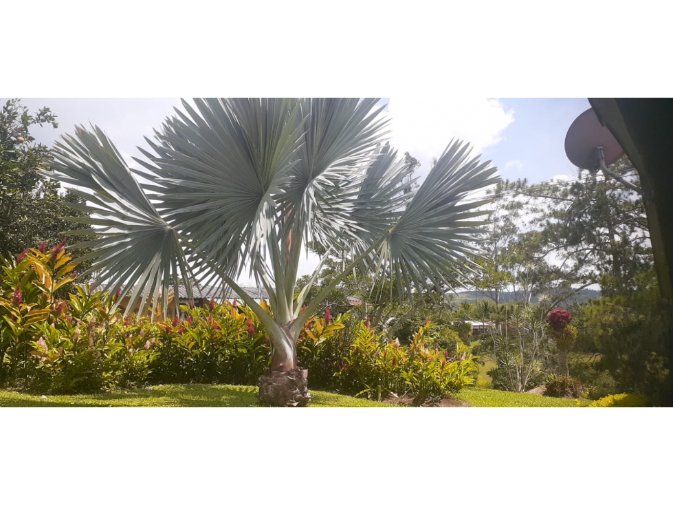 (J) FINCA EN KM 30 CORREGIMIENTO BORRERO AYERBE- DAGUA — foto 5