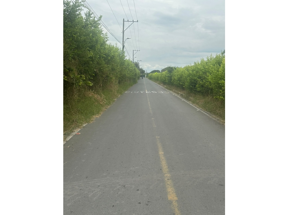(JM) LOTE EN VENTA EN ROZO, PALMIRA, NORTE DE CALI — foto 6