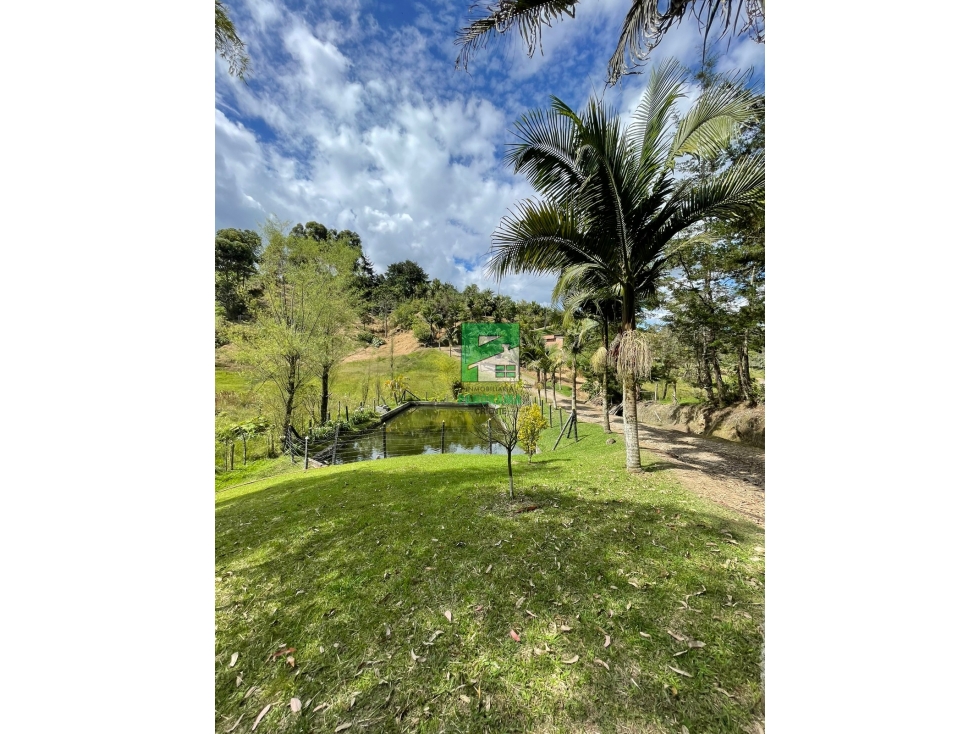 FINCA PARA LA VENTA — foto 6