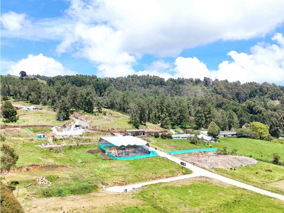 Lote en venta en el Alto de las Palmas LO-PAL-3064 MLS# 260773 — foto 3